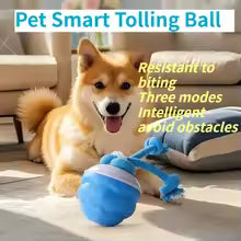 Electric pet toy ball rolling ball rechargeable dog toy bite-resistant interactive dog ball teething