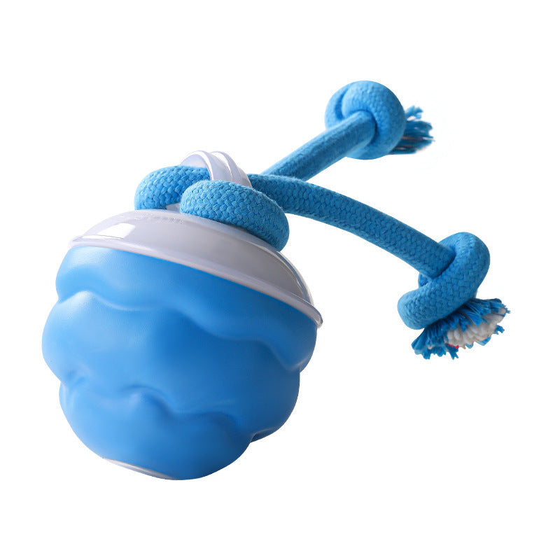 Electric pet toy ball rolling ball rechargeable dog toy bite-resistant interactive dog ball teething