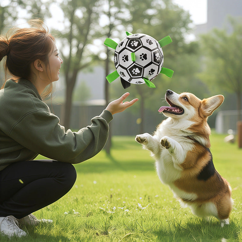 Dog toy ball, Border Collie self-entertainment toy, Labrador Retriever, Corgi training dog soccer ball, bite-resistant pet supplies