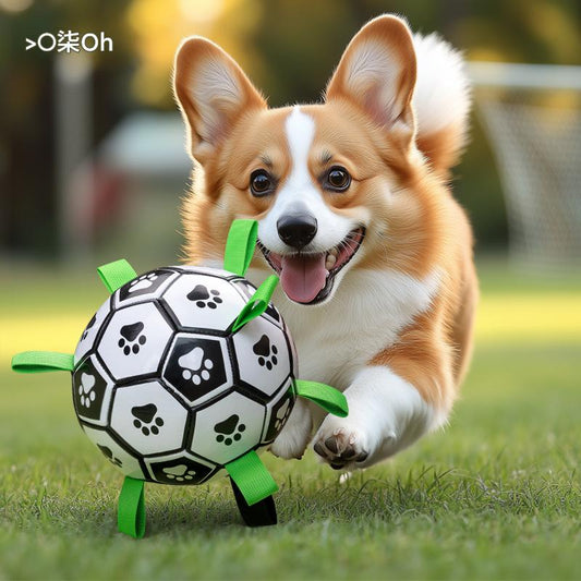 Dog toy ball, Border Collie self-entertainment toy, Labrador Retriever, Corgi training dog soccer ball, bite-resistant pet supplies